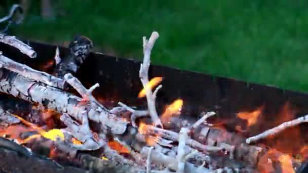 Dışarıda, yaz aylarında barbekü pişirmeye hazırlık. Yemek, ısı ve barbekü konsepti. — Stok video