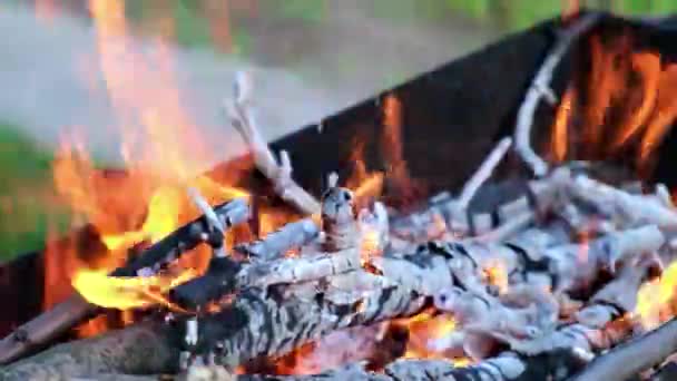 Förberedelser för grillning utomhus, sommartid. Matlagning, värme och grill koncept. — Stockvideo