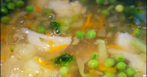 Овощной Минестронный Суп Варить Металлической Кастрюле Плите Суп Морковью Перцем — стоковое видео