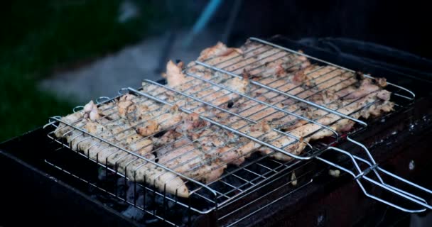 Carne Pollo Frita Una Parrilla Barbacoa Aire Libre Preparando Asando — Vídeo de stock