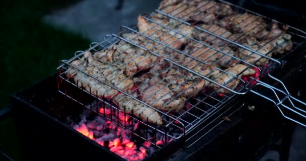 Carne Pollo Frita Una Parrilla Barbacoa Aire Libre Preparando Asando — Vídeo de stock