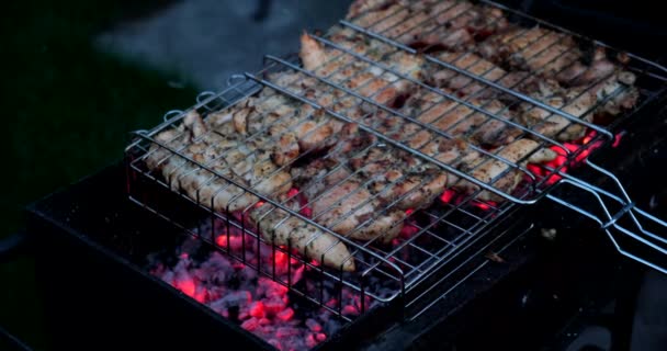 Carne Pollo Frita Una Parrilla Barbacoa Aire Libre Preparando Asando — Vídeo de stock