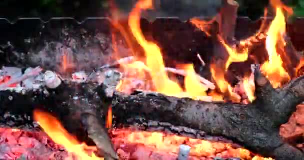 Felkészülés Barbecue Kívül Főzéshez Nyáron Főzés Grill Koncepció Tűzifa Égő — Stock videók