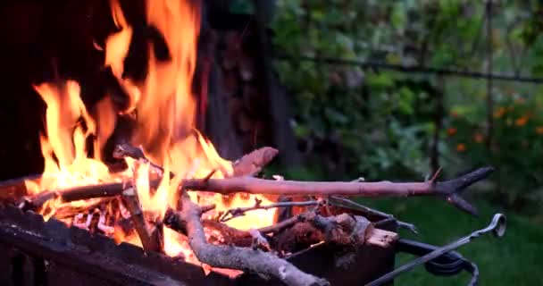 Preparation Cooking Barbecue Summertime Cooking Heat Barbecue Concept Firewood Burning — Stock Video