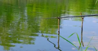 Balık oltası, yaz günü nehirde yüzer. Bobber ile olta atmak ve balık yakalamak için kafes kullanmak. Doğa arkaplanı