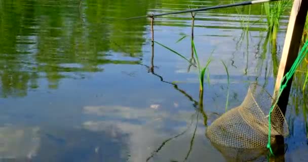 夏天的时候 钓竿和浮在河里 用吊钩和笼笼吊钩钓到的鱼 自然背景 — 图库视频影像