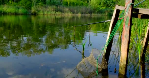 Balık Oltası Yaz Günü Nehirde Yüzer Bobber Ile Olta Atmak — Stok video