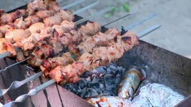  Şiş kebap. Kömür ızgarasında kızartılan domuz eti mi kuzu eti mi? Kalanı da ızgara et.