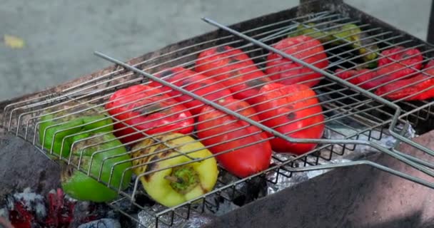 室外烤架壁炉架上的辣椒显示火焰和烟雾与复制空间 蔬菜烤架 — 图库视频影像