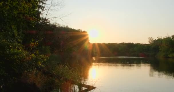 Camping dans la nature près de la rivière. Soirée calme au bord du lac avec un ciel doré brûlant. Ciel couchant coloré au bord de l'eau en forêt. Silhouette d'arbres et un grand soleil orange derrière 