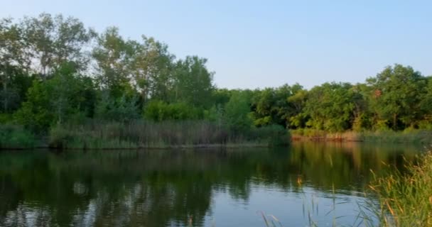 Krajina Vody Zeleného Lesa Přírodní Pozadí Řeka Evropě — Stock video