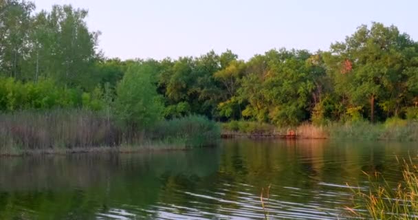 Landschaft Aus Wasser Und Grünen Wäldern Natur Hintergrund Fluss Europa — Stockvideo