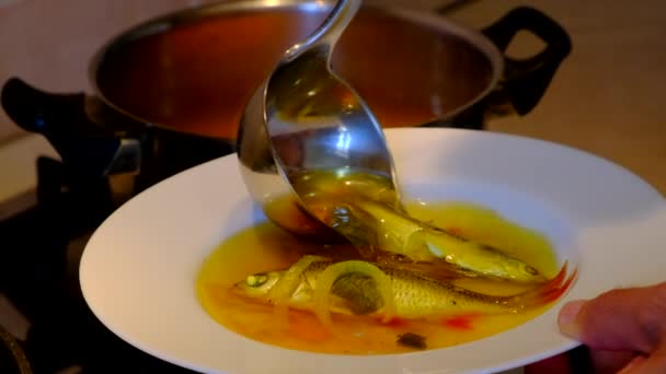 Рибний киплячий суп з овочами. Здорова їжа з морквою, перцем, травами та картоплею — стокове відео