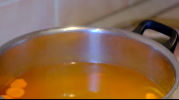 Sopa fervente de peixe com legumes em panela quente. Comida saudável com cenoura, pimenta, ervas e batata na panela. Adicionar peixe à sopa de peixe. Processo de cozedura — Vídeo de Stock