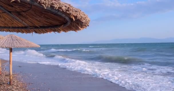 Seascape Ocean Beautiful View Sea Tropical Beach Thatched Umbrellas Empty — Stock Video