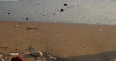 İnsan kıyı boyunca su boyunca koşar. Kumsalda bir sabah. Sağlıklı yaşam tarzı