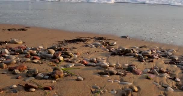 日出时沿着海滩走的女人的腿 日落时 人类赤脚在海滨行走 人类在海岸线浅水处行走 暑假的概念 — 图库视频影像