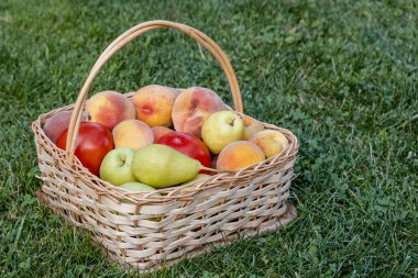 Taze sebze ve meyve sepeti.