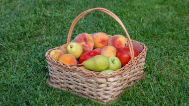 Taze sebze ve meyve sepeti.