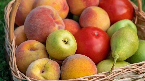 Frisches Gemüse Und Obst Korb — Stockfoto