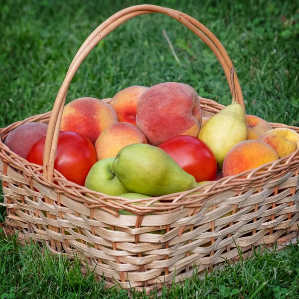 Frisches Gemüse Und Obst Korb — Stockfoto