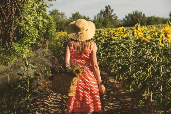 Mulher Andando Campo Girassol Florescendo Sozinho Dia Verão Menina Bonita — Fotografia de Stock