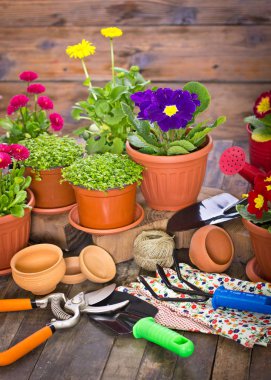 ahşap zemin üzerinde düzenlenmiş güzel çiçekler ve bahçe ekipmanları