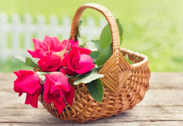 close up view of beautiful flowers on wooden background