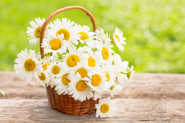 Nahaufnahme Von Schönen Blumen Auf Holzgrund — Stockfoto