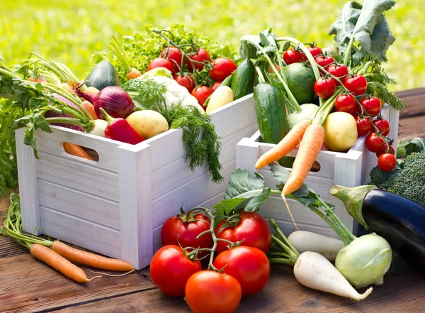 ahşap masa üzerinde düzenlenmiş taze sebze yakın görünümü