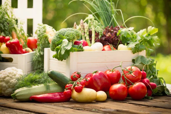 Nahaufnahme Der Frischen Ernte Auf Grünem Gras Hintergrund — Stockfoto