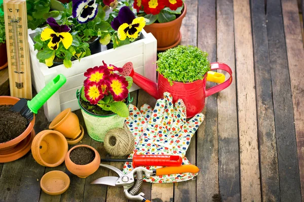 Beautiful Flowers Gardening Equipment Arranged Wooden Backdrop — Stock Photo, Image