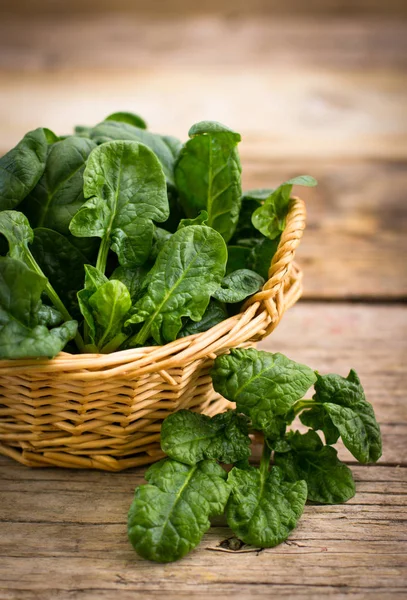 Close View Fresh Spinach Wooden Background — Stock Photo, Image