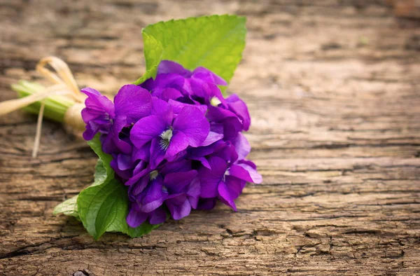 Close View Beautiful Flowers Wooden Background — Stock Photo, Image