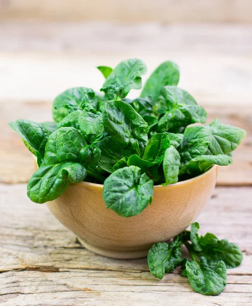 Close View Fresh Spinach Wood Background — Stok Foto
