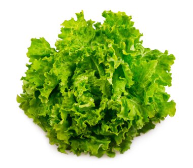 Beyaz arka plan üzerinde taze marul görünümü kadar kapatın