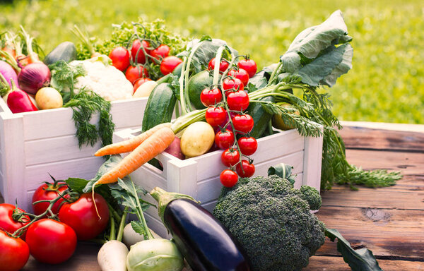 close up view of fresh vegetables and fruits on wooden background