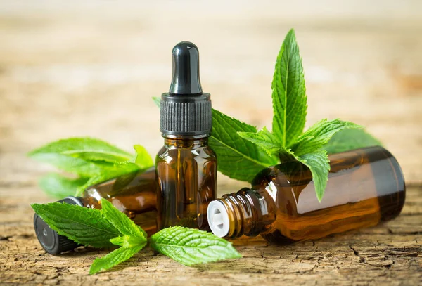 Mint Essential Oil Bottle — Stock Photo, Image