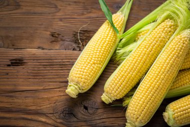 Tahta masadaki koçanlarda taze mısır.