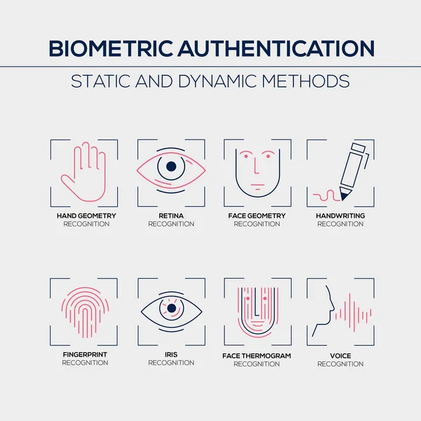 Biyometrik kimlik doğrulamanın statik ve dinamik yöntemleri - açık gri arka plan üzerinde açıklamalar içeren düz vektör anahat simgelerinin toplanması