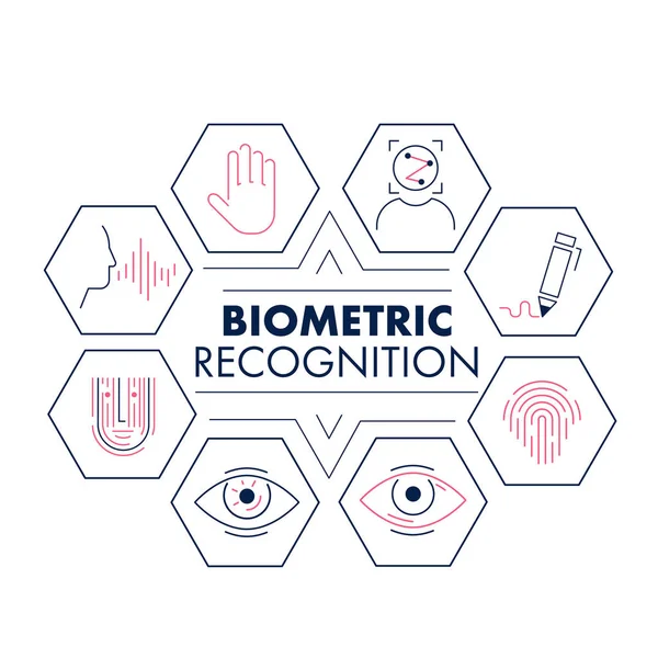 Tipografi çevresindeki altıgenlerde biyometrik tanıma simgelerinin toplanması. Biyometrik kimlik doğrulama teknolojisi kavramını kullanarak. Düz vektör çizimi