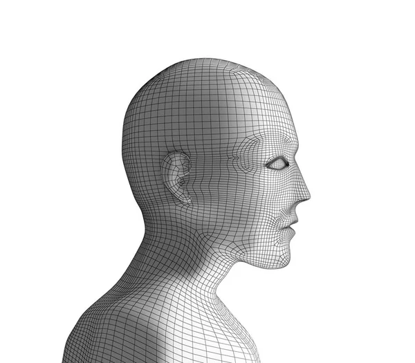Человеческая Голова Модель Wireframe Белом Искусственный Интеллект Концепции Футуристических Технологий — стоковое фото