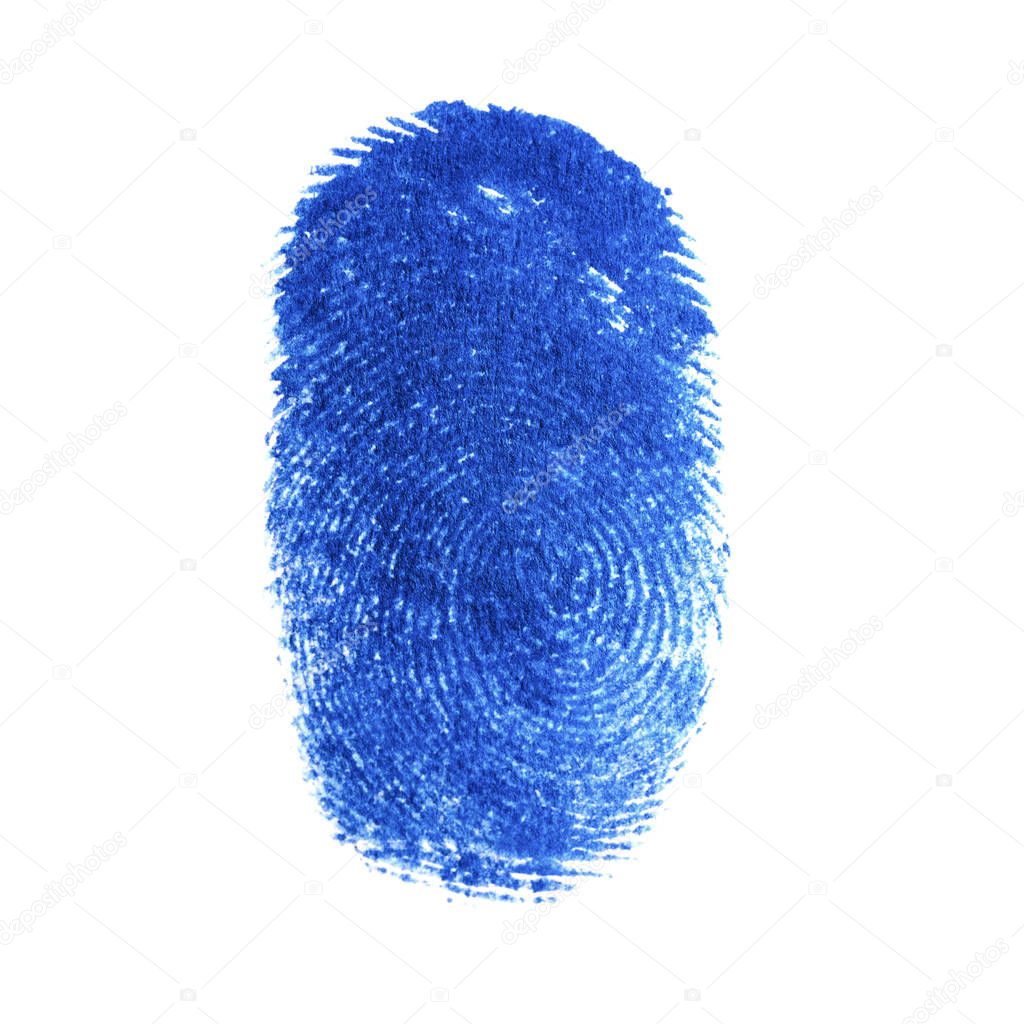 Ink blue fingerprint identification symbol isolated on white background in technology concept. No effects used.