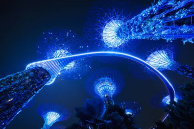 Supertree Grove. Körfez Marina Bay Area, gece, Singapur şehir bahçe.