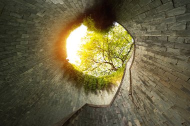 Fort Canning Parkı kimse ile. Singapur şehir ağaçlarda ile doğa tünel