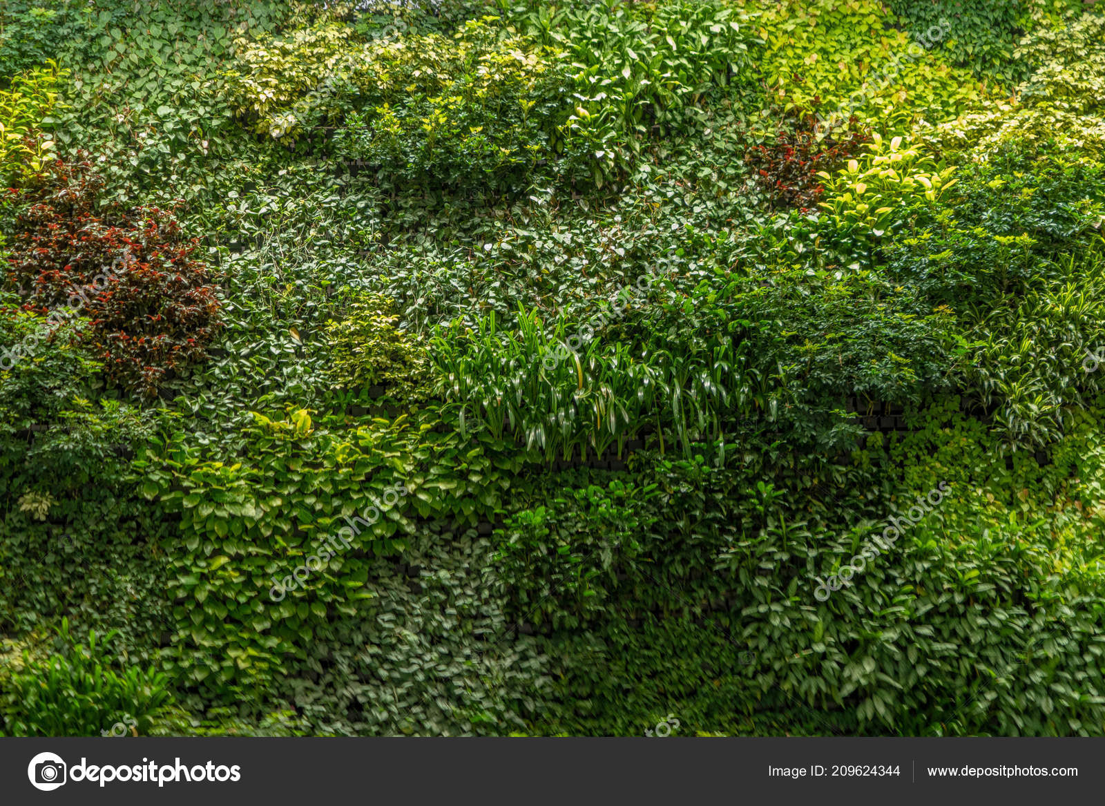 Moss Wall Green Grass Wall Decoration Design Pattern Texture Background