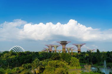 Supertree Grove. Öğle saatlerinde, Singapur City mavi gökyüzü ile Marina Bay Bölgesi'nde Körfez Bahçe.