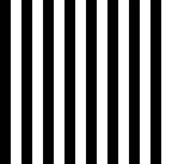 Zebra crosswalk. Black and white pattern strips. Seamless texture background. 3d abstract lines illustration