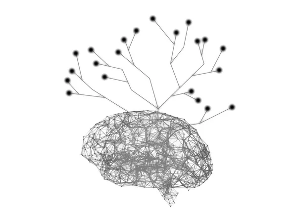 Digital Data Och Nätverk Anslutning Mänskliga Hjärnan Med Trädstruktur Isolerad — Stockfoto
