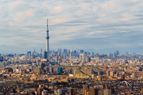 Şehir Merkezinde Bir Tokyo Hava Görünümünü Finans Bölgesine Merkezleri Asya — Stok fotoğraf